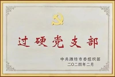Glory! Lapuda Was Awarded Two Major Honors: ‘Excellent Party Branch’ And 'Fiv...